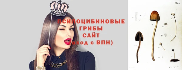 шишки Зерноград